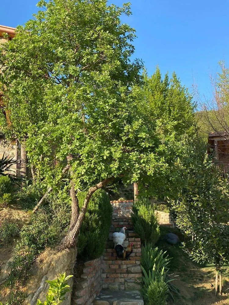 Bujtina Salko Villa Mucaj