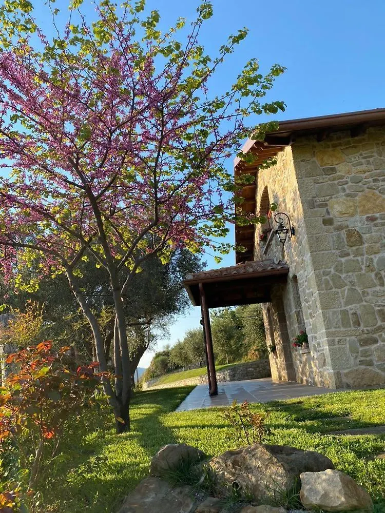 Bujtina Salko Villa Mucaj Albania